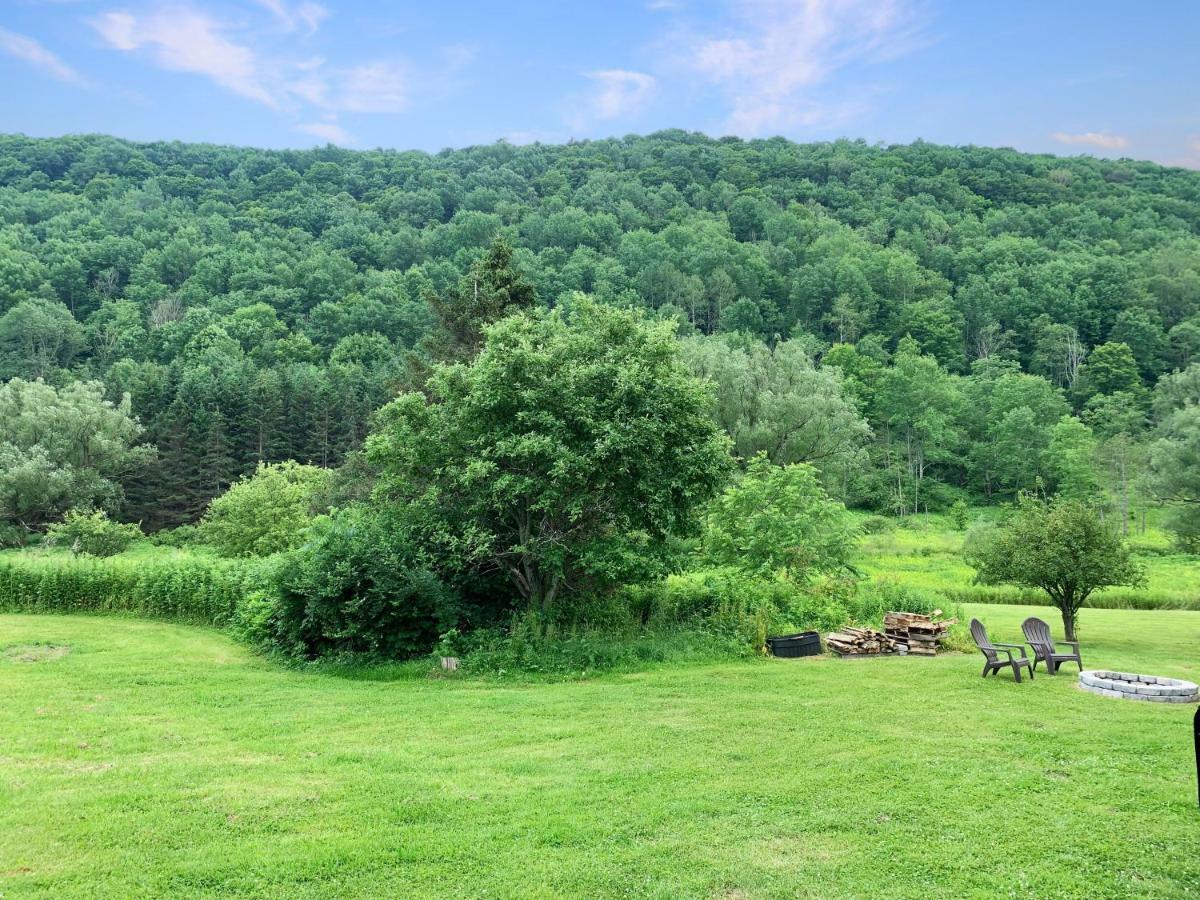The Maples Apt - King Bed, Pet Friendly, Beautiful Views Ellicottville Dış mekan fotoğraf
